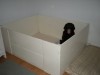 Yupe its me...alone...in my box....where are the puppies?