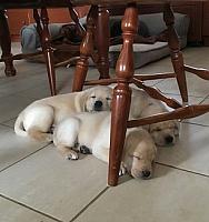 Piled up under the chair